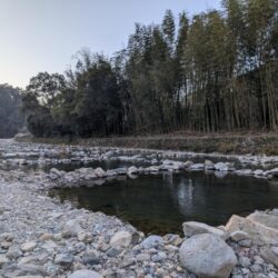 ウキ釣りで数稼ぎ